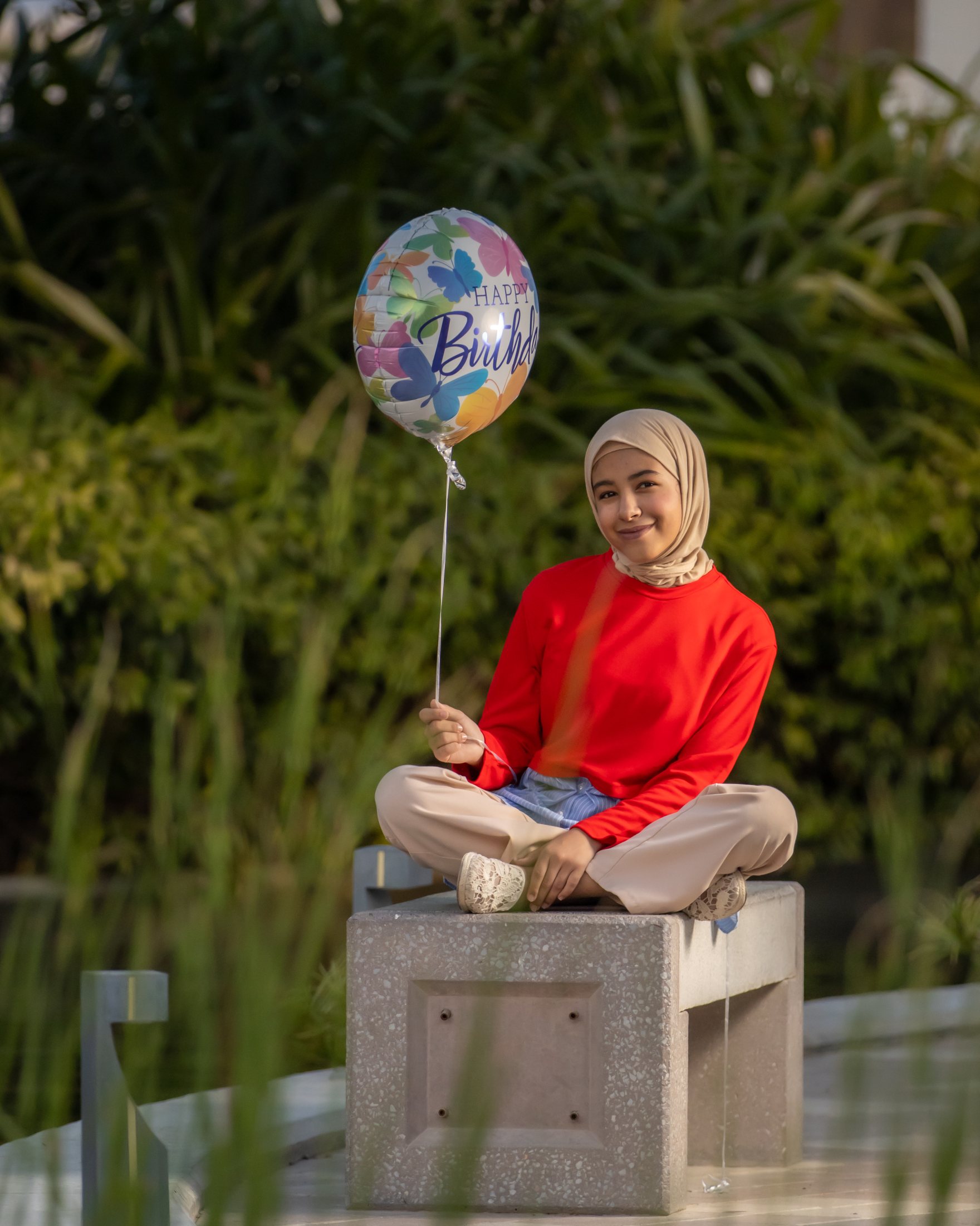 Balloon Garden Story by Ali Al Zain